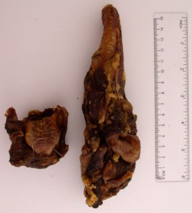 burglik_nebal.jpg