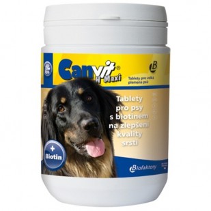 canvit_h_maxi_jpg_800x800_q851.jpg